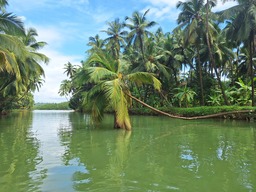 Sharavati River, Karnataka, India